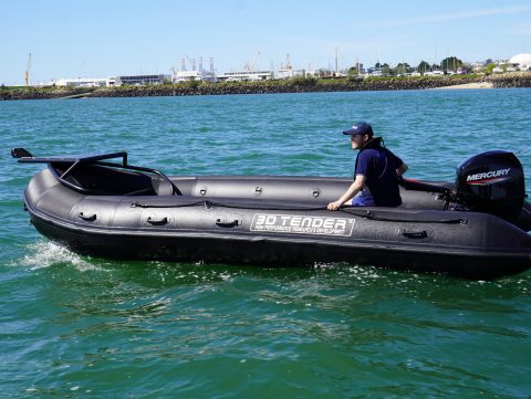 POLAR 580